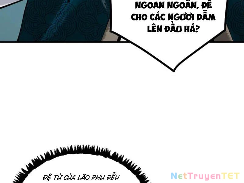 Gặp Mạnh Thì Mạnh, Ta Tu Vi Vô Thượng Hạn Chapter 12 - Trang 3