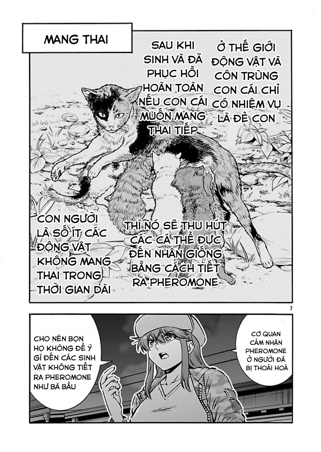 Siêu Đảo Côn Trùng Chapter 53 - Trang 3