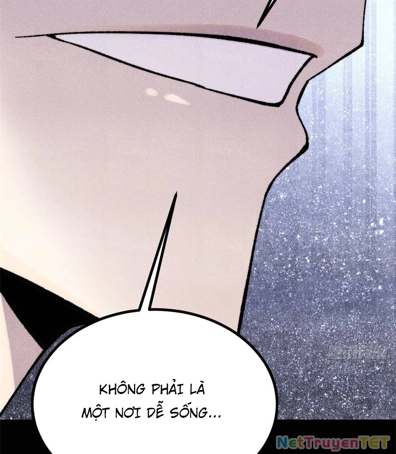 Vạn Cổ Tối Cường Tông Chapter 392 - Trang 4