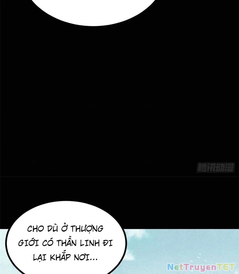 Vạn Cổ Tối Cường Tông Chapter 392 - Trang 4