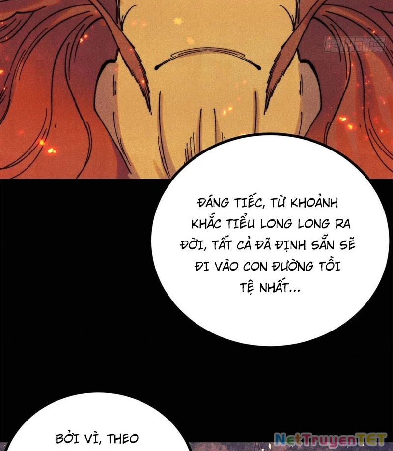 Vạn Cổ Tối Cường Tông Chapter 392 - Trang 4