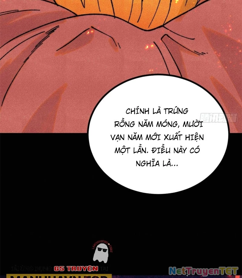 Vạn Cổ Tối Cường Tông Chapter 392 - Trang 4