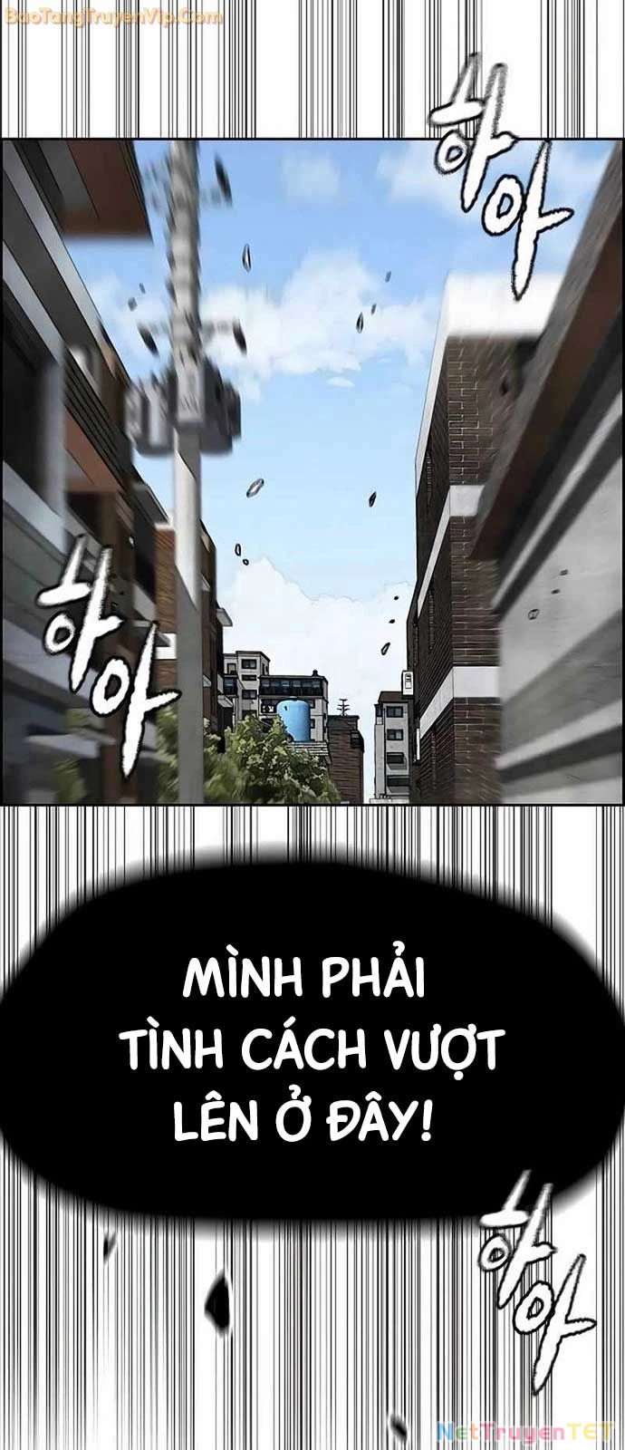 Thể Thao Cực Hạn Chapter 533 - Trang 4