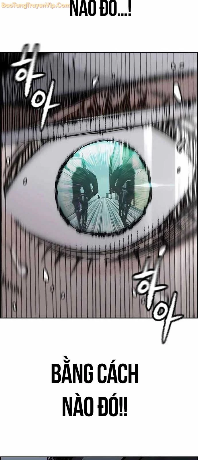 Thể Thao Cực Hạn Chapter 533 - Trang 4