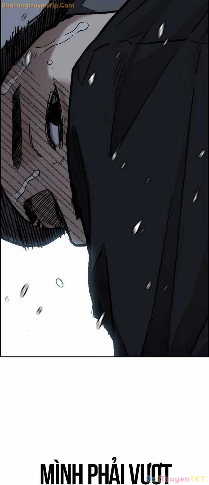 Thể Thao Cực Hạn Chapter 533 - Trang 4