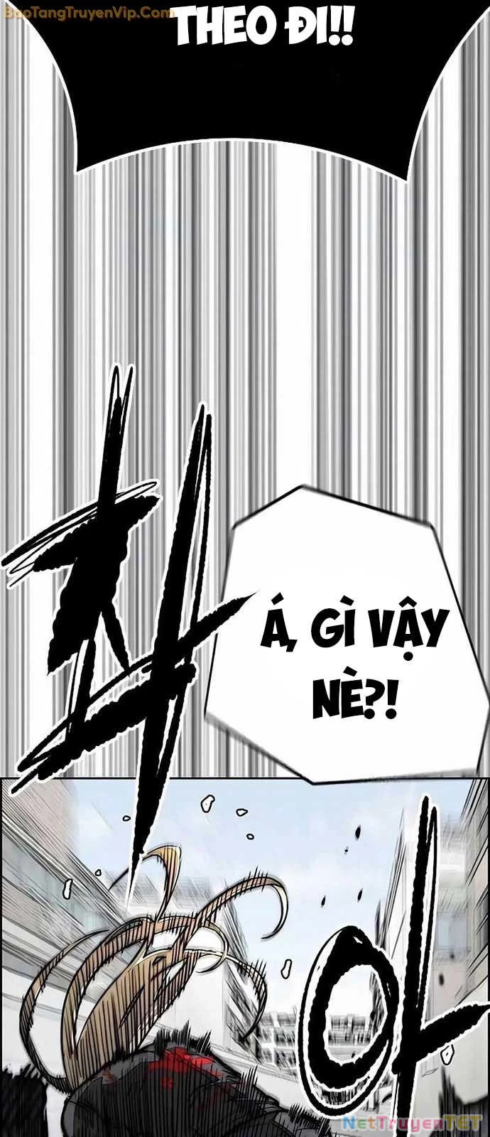 Thể Thao Cực Hạn Chapter 533 - Trang 4