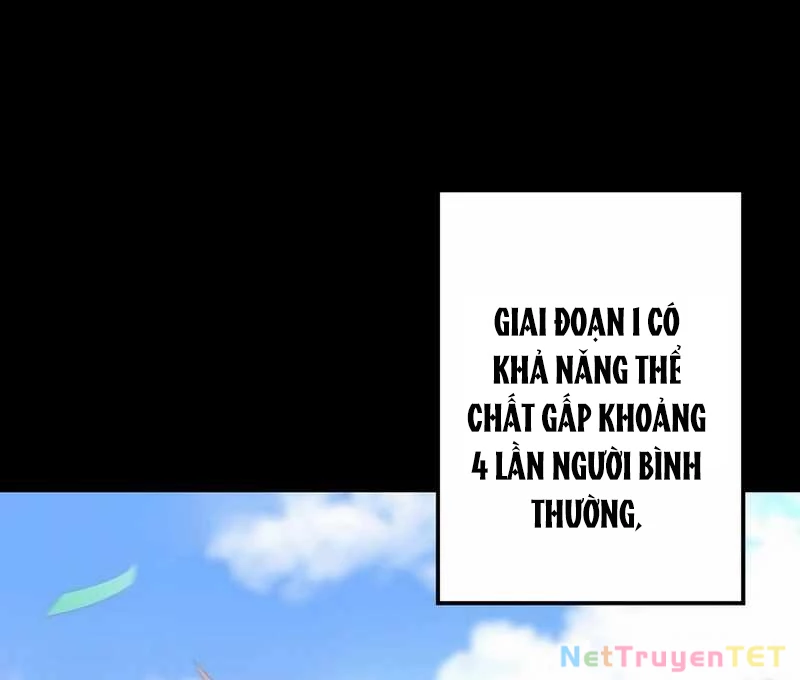 Chiến Thần Xuất Thế Chapter 16 - Trang 2