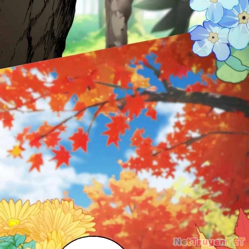 Chiến Thần Xuất Thế Chapter 17 - Trang 2