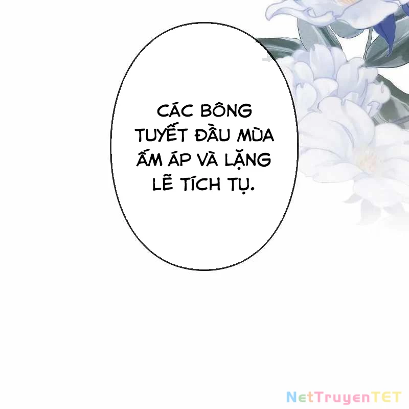 Chiến Thần Xuất Thế Chapter 17 - Trang 2