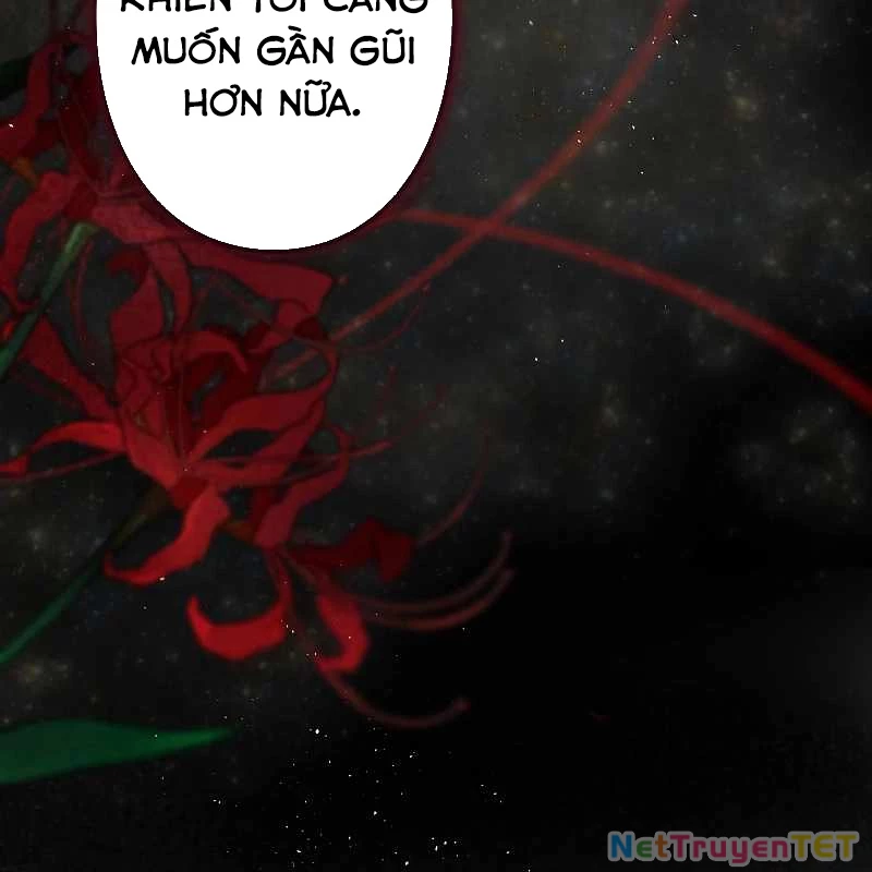 Chiến Thần Xuất Thế Chapter 17 - Trang 2