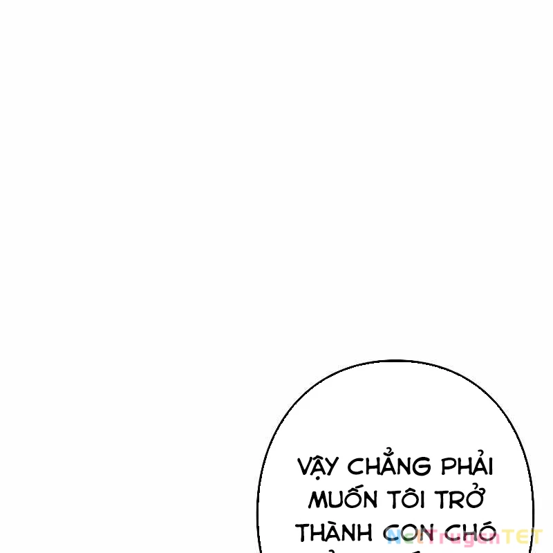 Chiến Thần Xuất Thế Chapter 18 - Trang 2