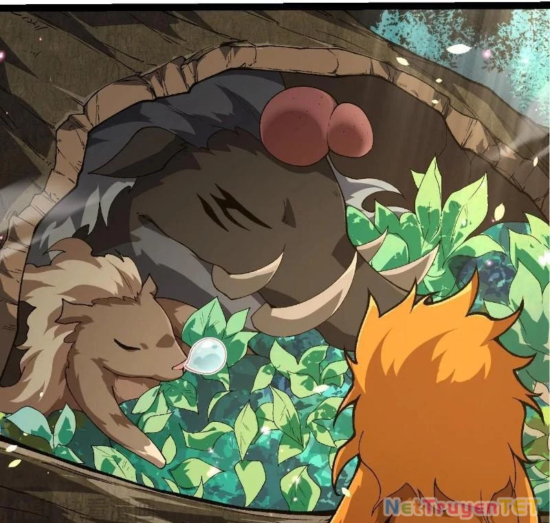 Chuyển Sinh Thành Liễu Đột Biến Chapter 322 - Trang 4