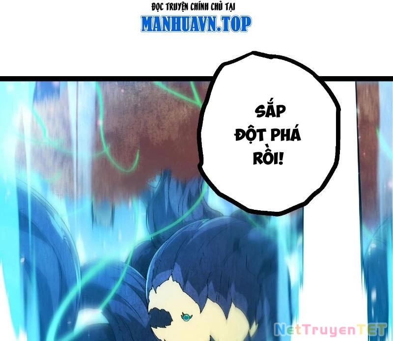 Chuyển Sinh Thành Liễu Đột Biến Chapter 322 - Trang 4