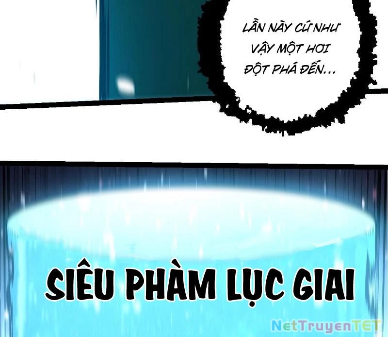 Chuyển Sinh Thành Liễu Đột Biến Chapter 322 - Trang 4