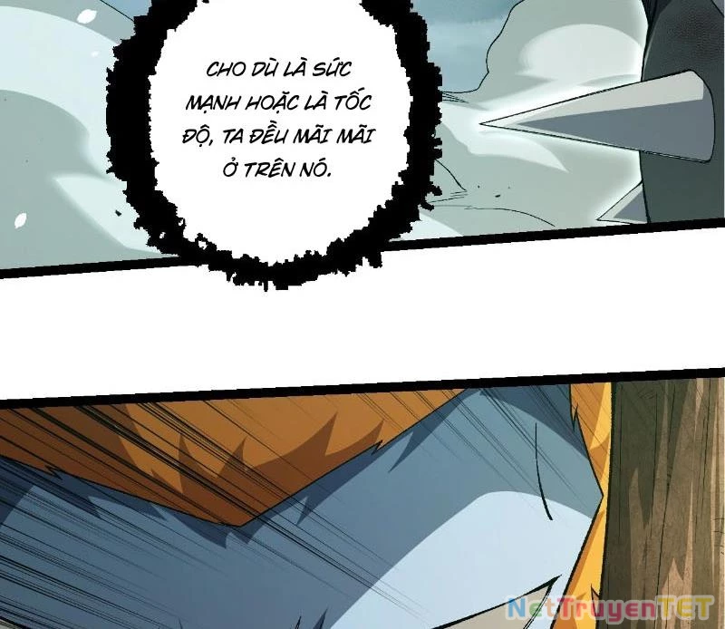 Chuyển Sinh Thành Liễu Đột Biến Chapter 322 - Trang 4
