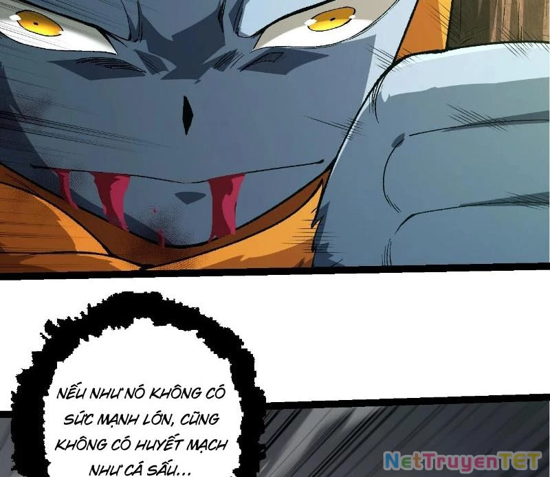 Chuyển Sinh Thành Liễu Đột Biến Chapter 322 - Trang 4