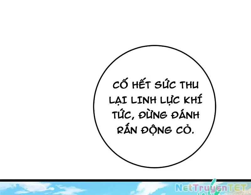 Chưởng Môn Khiêm Tốn Chút Chapter 463 - Trang 4