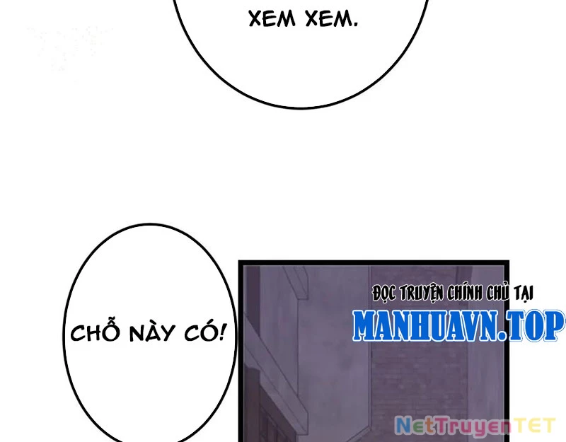 Chưởng Môn Khiêm Tốn Chút Chapter 463 - Trang 4