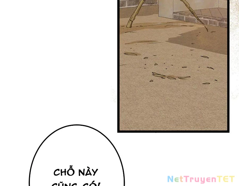 Chưởng Môn Khiêm Tốn Chút Chapter 463 - Trang 4