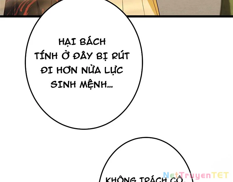 Chưởng Môn Khiêm Tốn Chút Chapter 463 - Trang 4