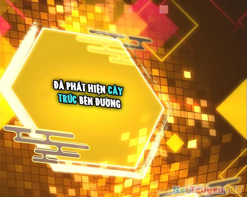 Chưởng Môn Khiêm Tốn Chút Chapter 463 - Trang 4