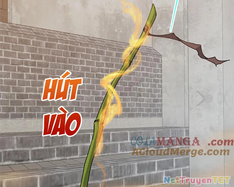 Chưởng Môn Khiêm Tốn Chút Chapter 463 - Trang 4