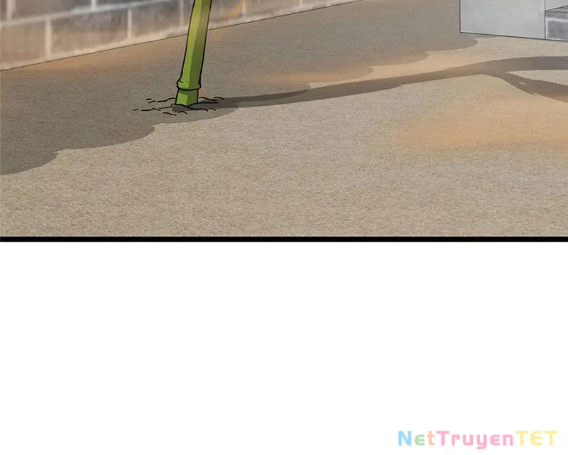 Chưởng Môn Khiêm Tốn Chút Chapter 463 - Trang 4