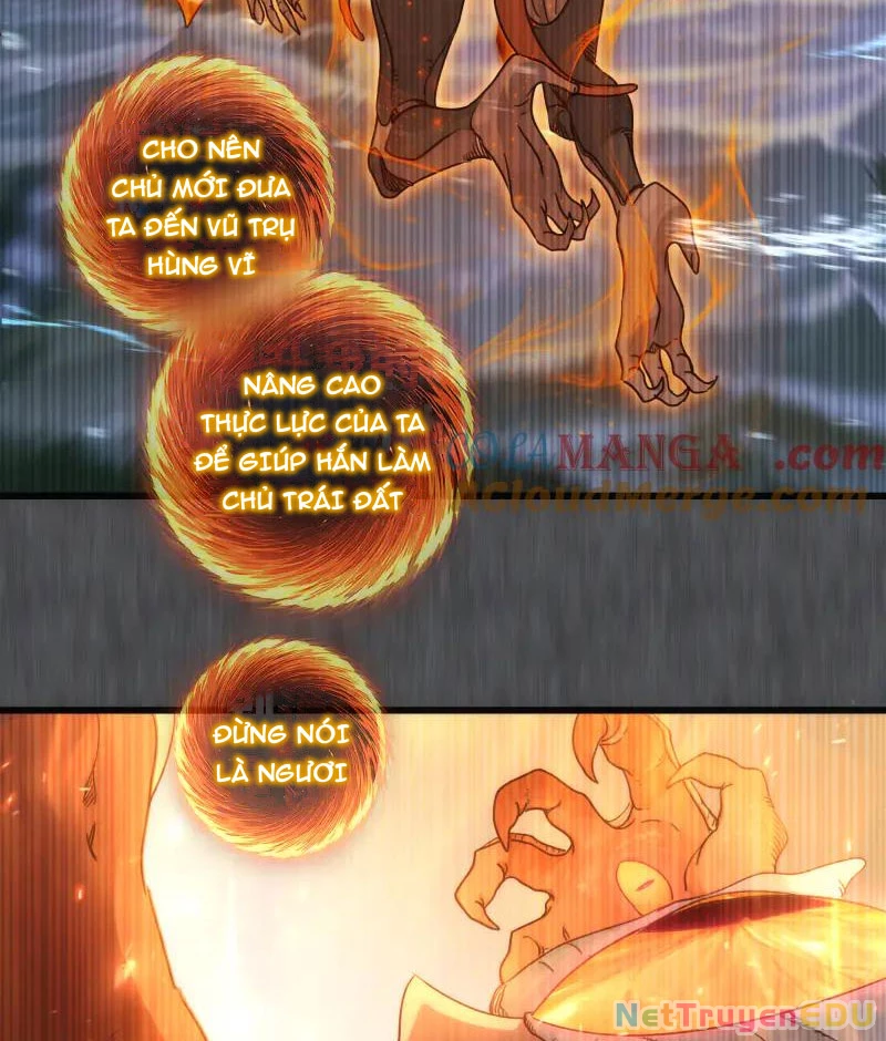 Cao Đẳng Linh Hồn Chapter 315 - Trang 4