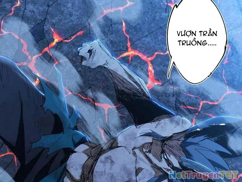 Ta Là Tà Đế Chapter 541 - Trang 4