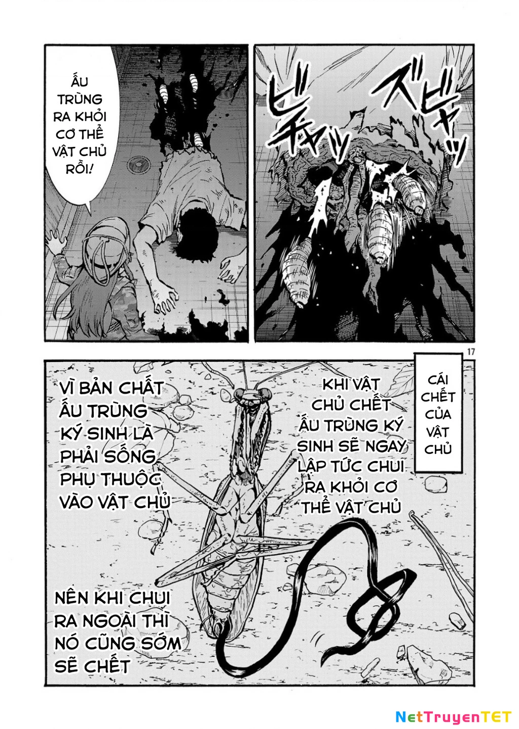 Siêu Đảo Côn Trùng Chapter 56.5 - Trang 2
