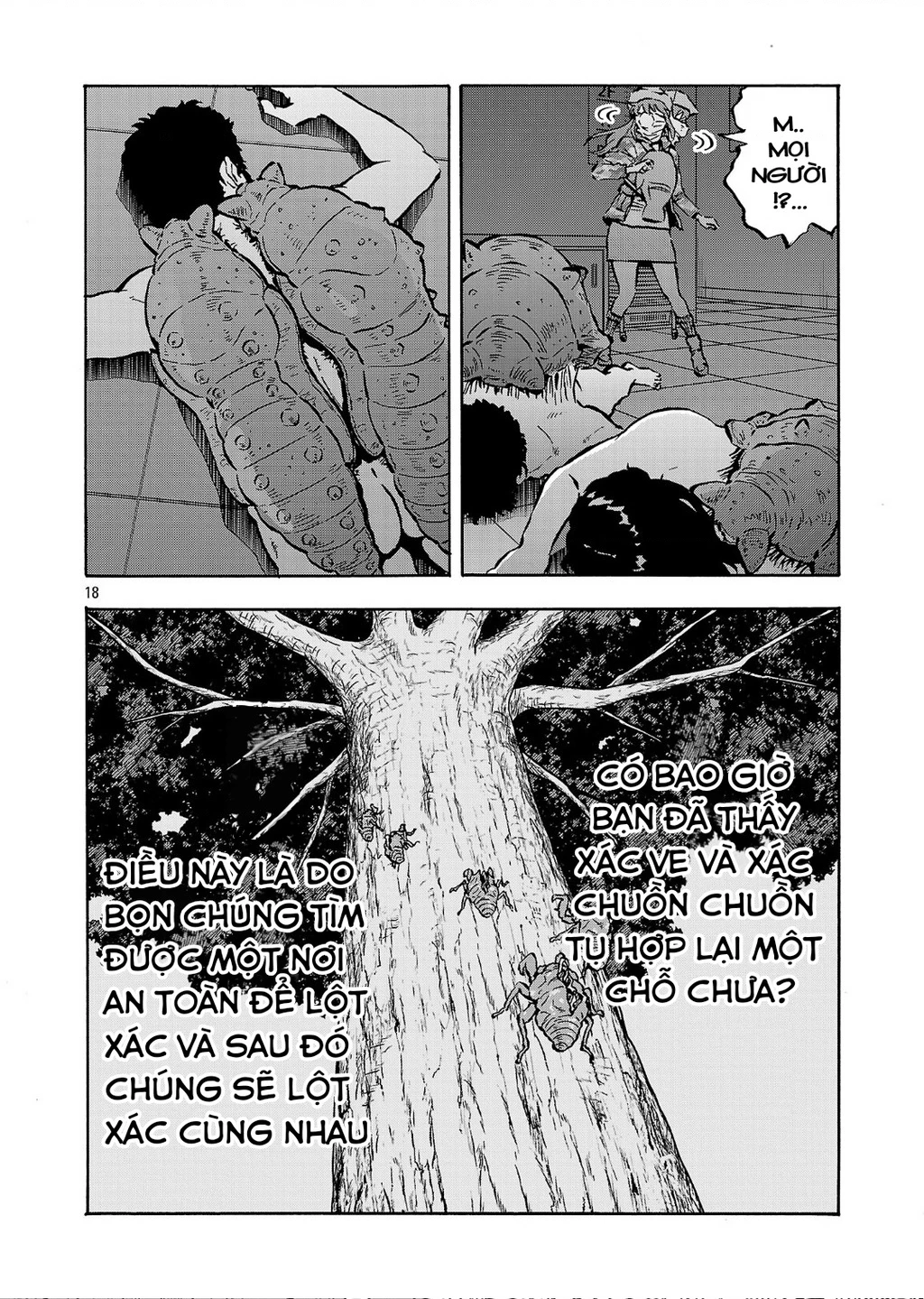 Siêu Đảo Côn Trùng Chapter 57 - Trang 3