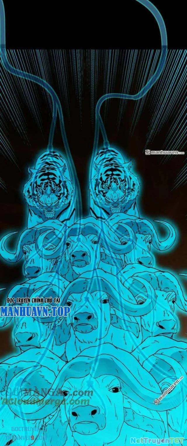 Đấu Yếm Thần Chapter 303 - Trang 3