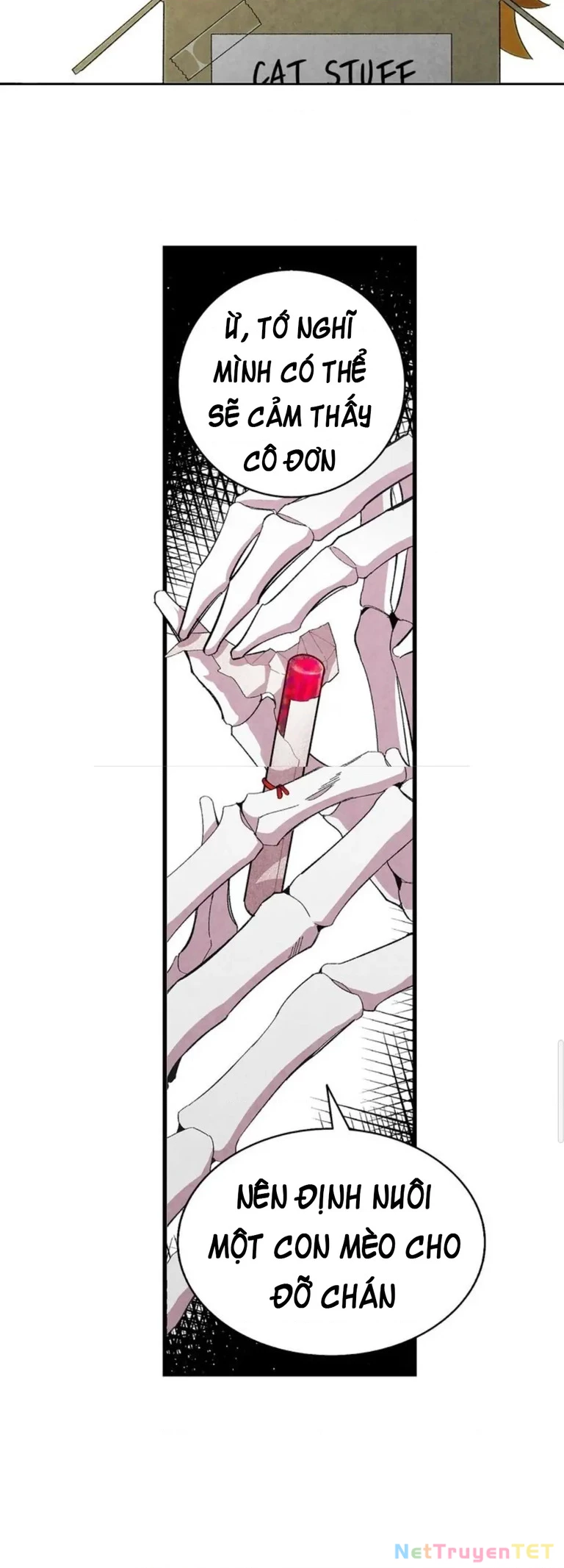 Mèo con của skelly Chapter 1 - Trang 2