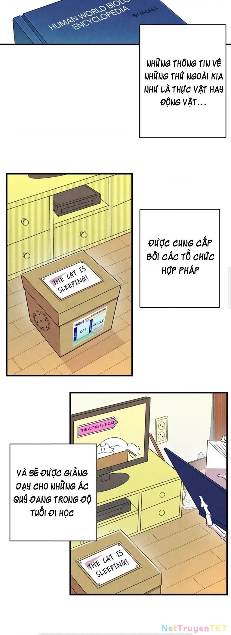 Mèo con của skelly Chapter 1 - Trang 2