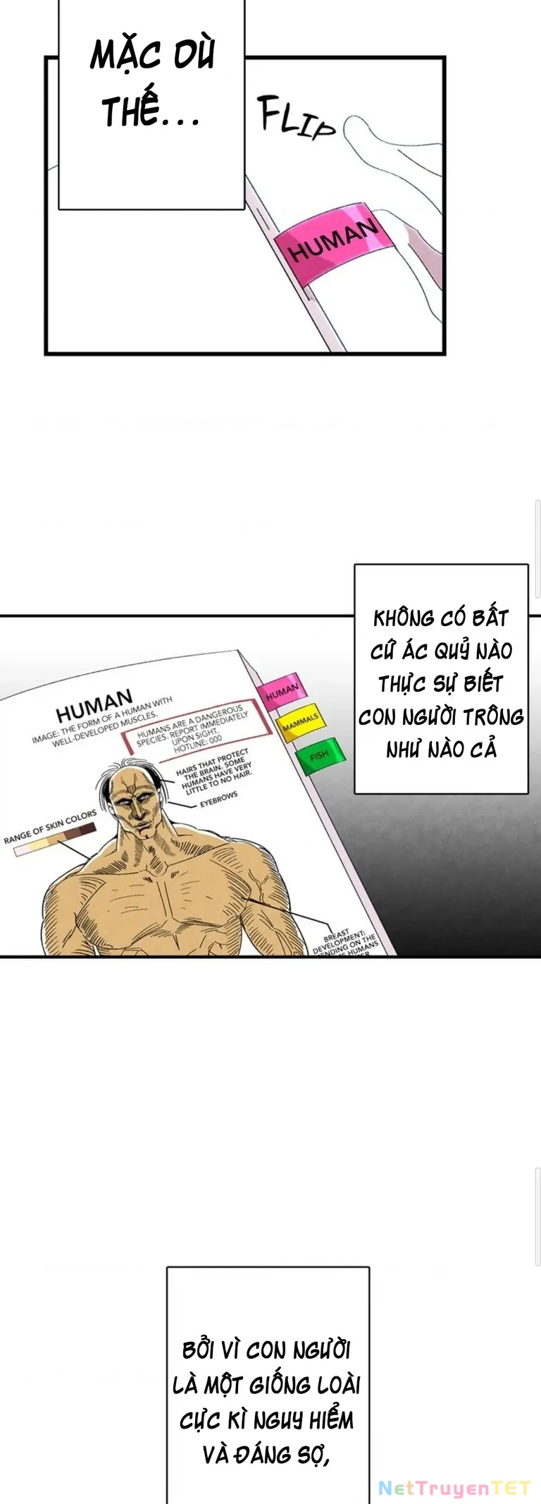 Mèo con của skelly Chapter 1 - Trang 2