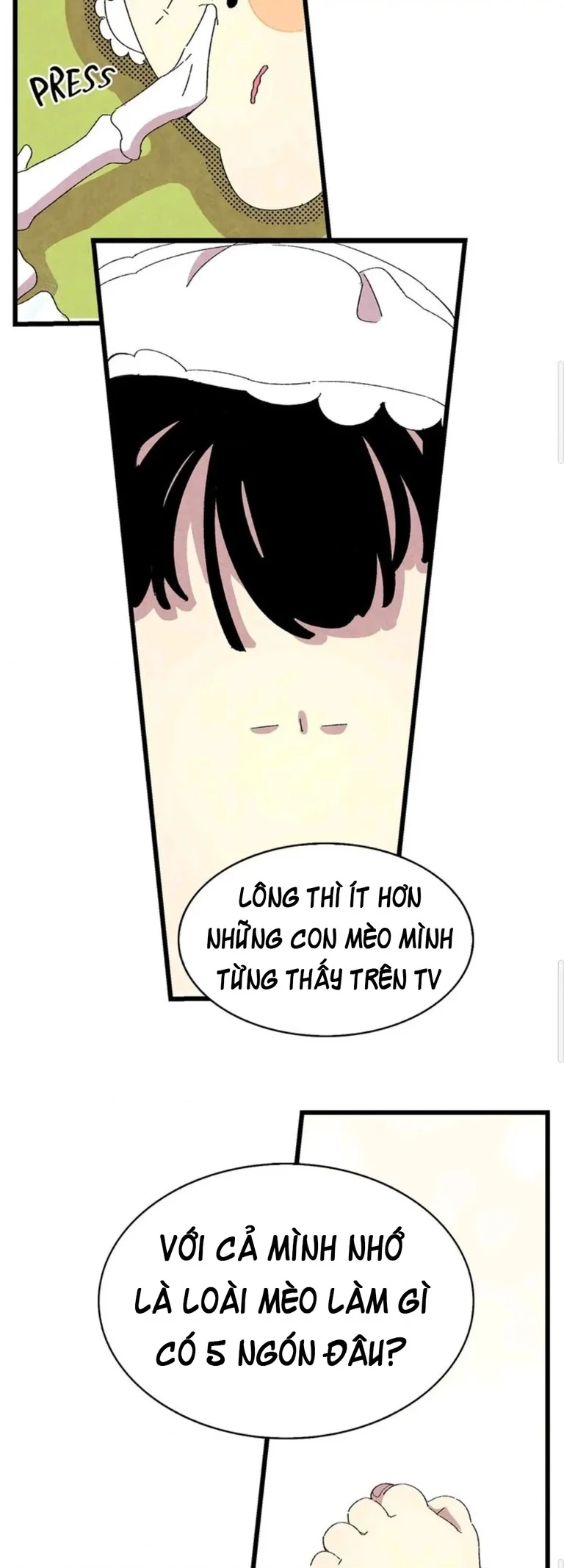 Mèo con của skelly Chapter 2 - Trang 2