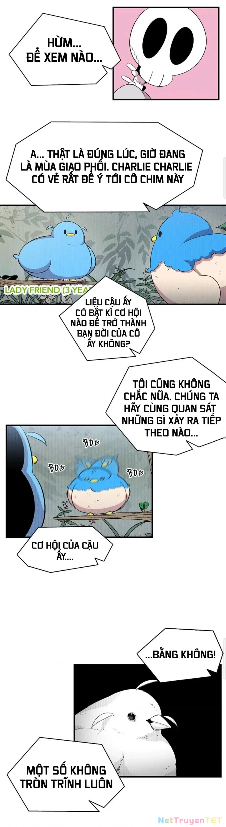Mèo con của skelly Chapter 3 - Trang 2