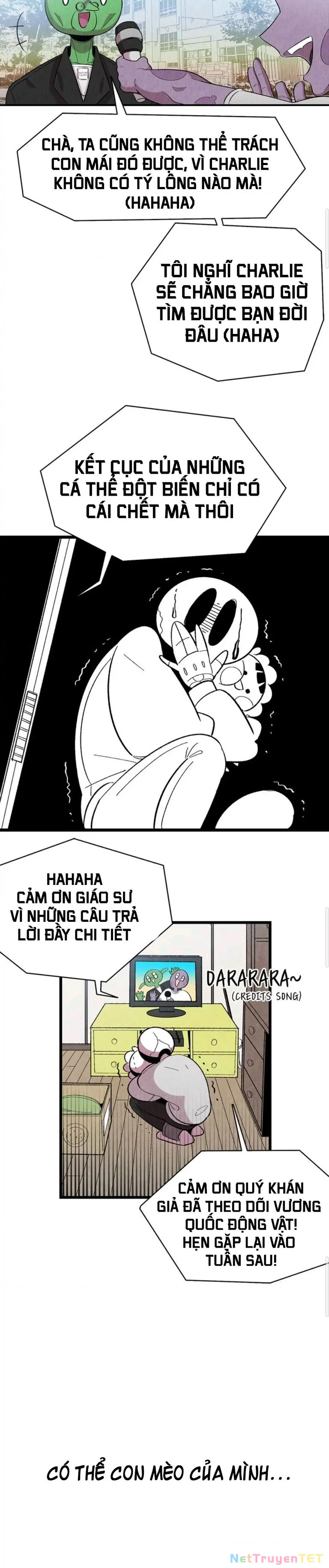 Mèo con của skelly Chapter 3 - Trang 2