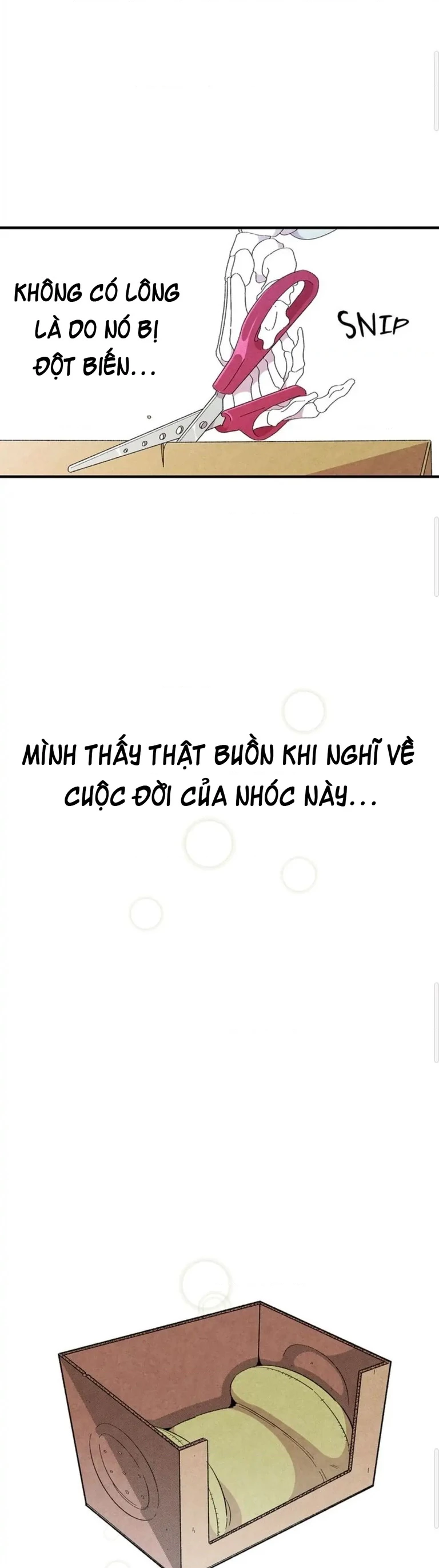 Mèo con của skelly Chapter 3 - Trang 2