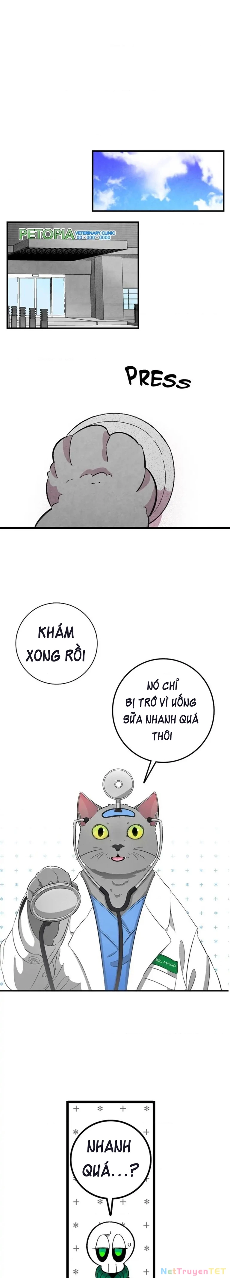 Mèo con của skelly Chapter 5 - Trang 2