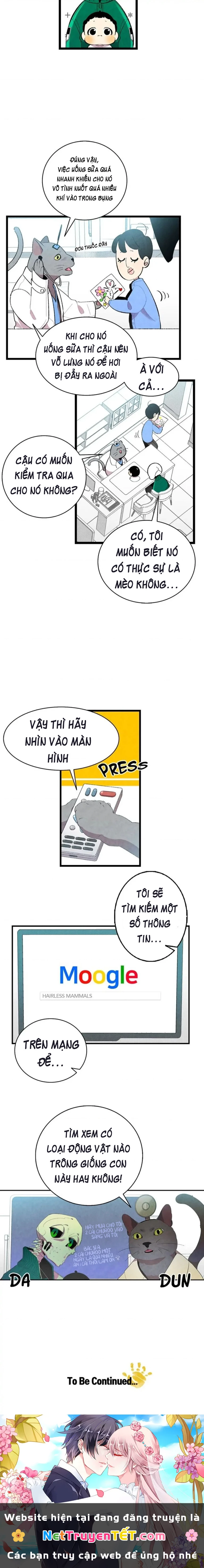 Mèo con của skelly Chapter 5 - Trang 2