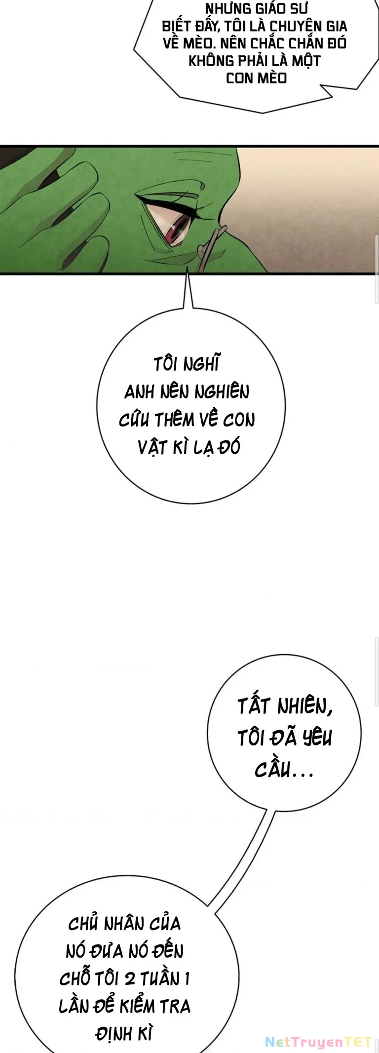 Mèo con của skelly Chapter 6 - Trang 2