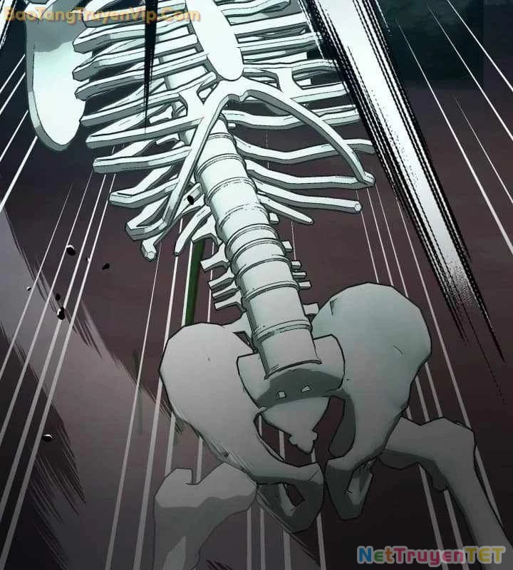 Pháp Sư Hắc Ám: Khởi Sinh Từ Xương Cốt Chapter 1 - Trang 2