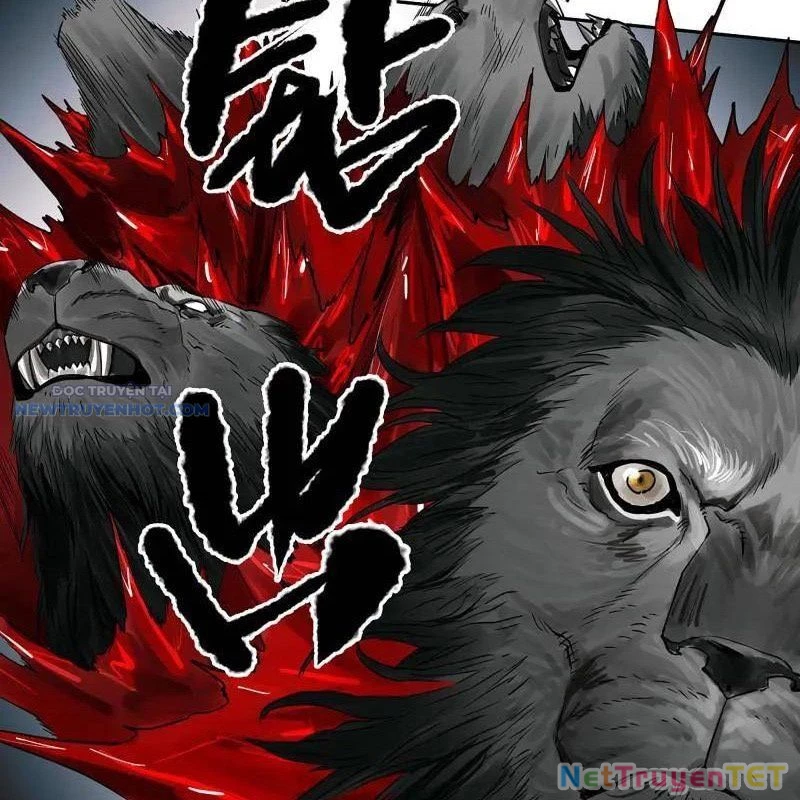 Truyền Võ Chapter 432 - Trang 4