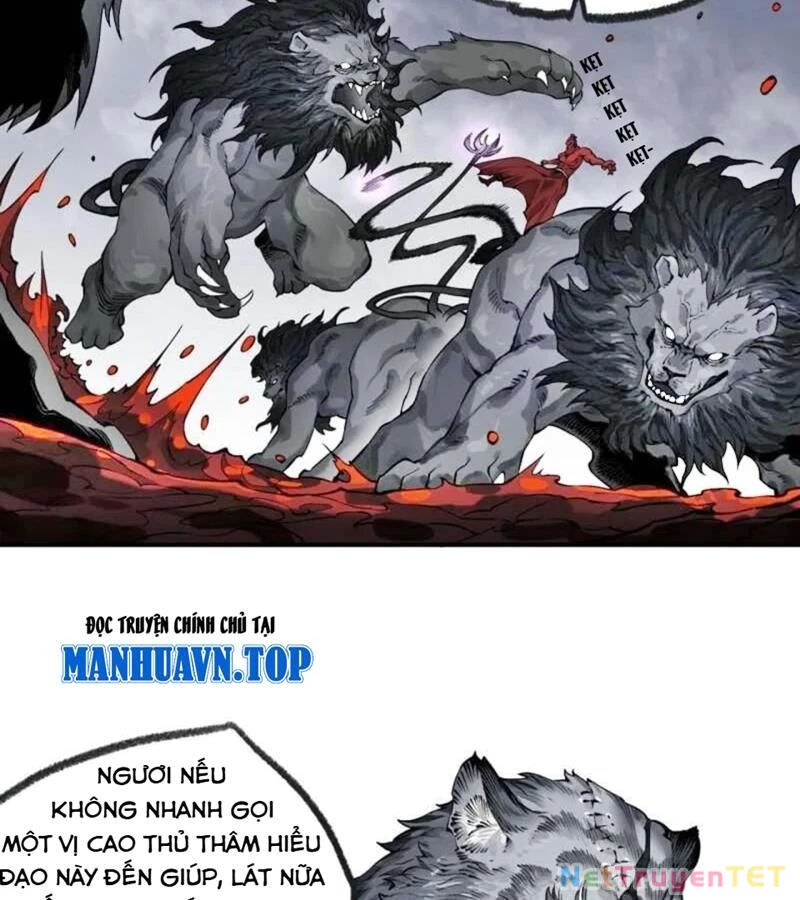 Truyền Võ Chapter 442 - Trang 4