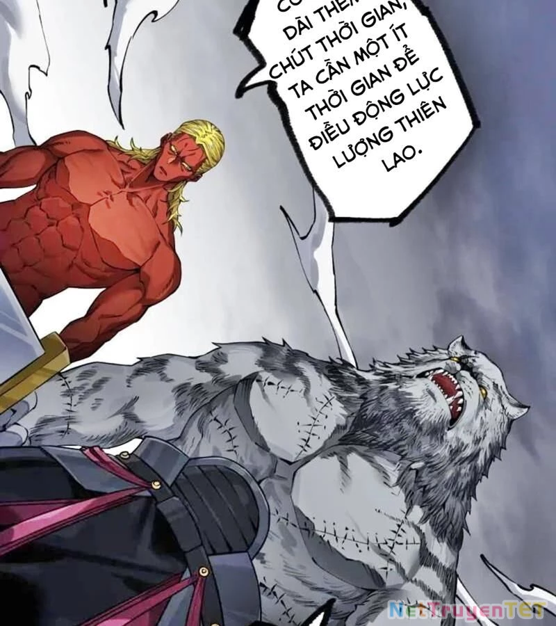 Truyền Võ Chapter 442 - Trang 4