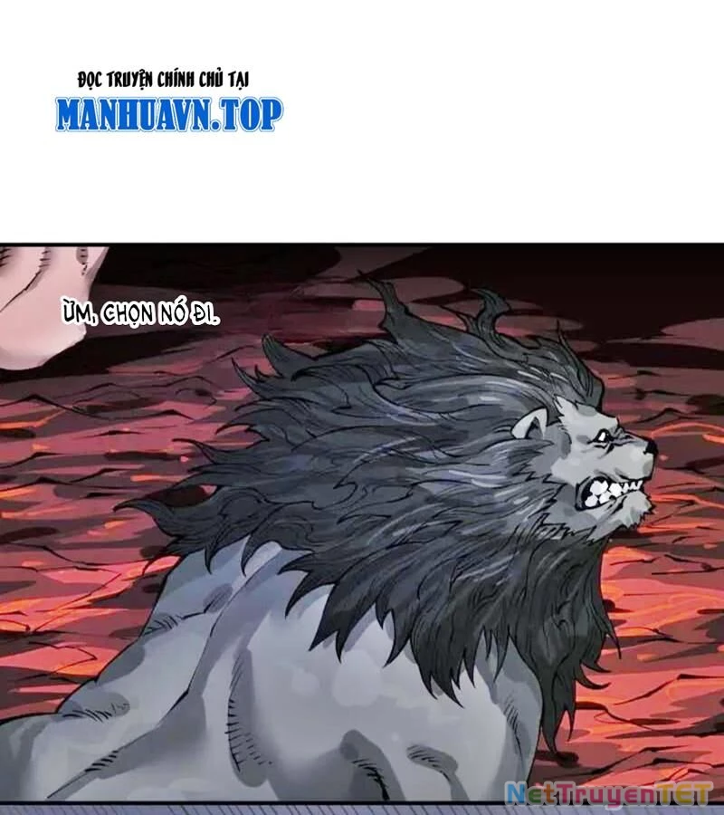 Truyền Võ Chapter 442 - Trang 4