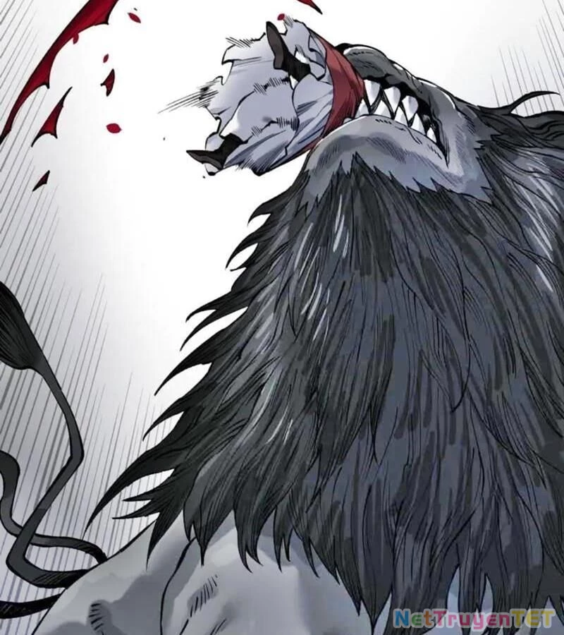 Truyền Võ Chapter 442 - Trang 4