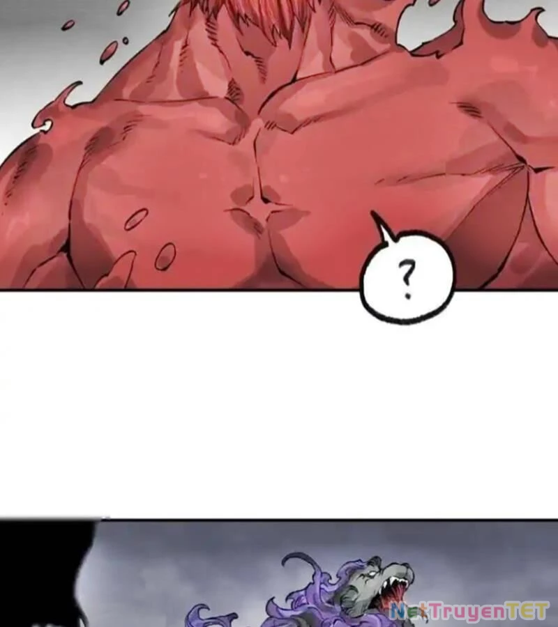 Truyền Võ Chapter 443 - Next Chapter 444