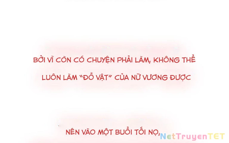 Thuần và Alice Chapter 1 - Trang 2